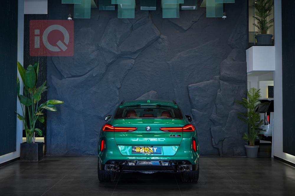 بي ام دبليو X6